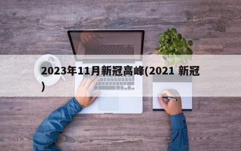2023年11月新冠高峰(2021 新冠)