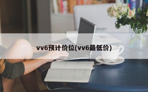 vv6预计价位(vv6最低价)