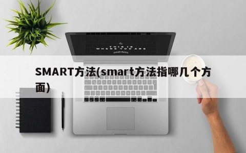SMART方法(smart方法指哪几个方面)