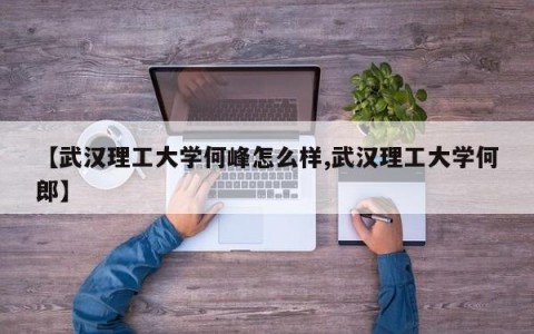 【武汉理工大学何峰怎么样,武汉理工大学何郎】