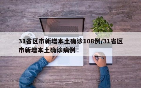 31省区市新增本土确诊108例/31省区市新增本土确诊病例
