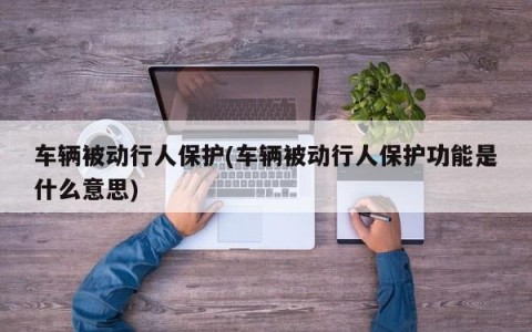 车辆被动行人保护(车辆被动行人保护功能是什么意思)